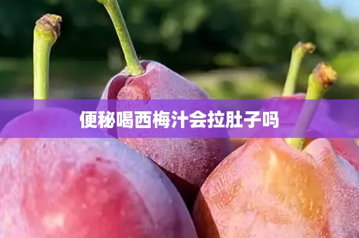 便秘喝西梅汁会拉肚子吗