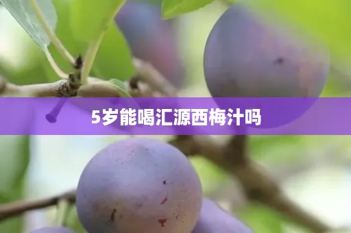 5岁能喝汇源西梅汁吗