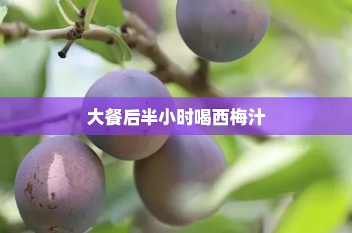 大餐后半小时喝西梅汁