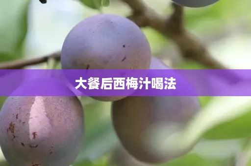 大餐后西梅汁喝法