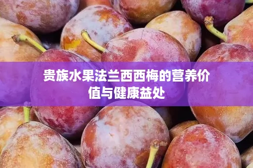贵族水果法兰西西梅的营养价值与健康益处