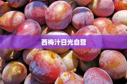 西梅汁日光自营
