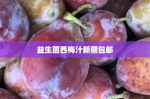 益生菌西梅汁新疆包邮