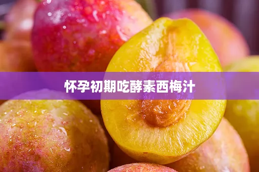 怀孕初期吃酵素西梅汁