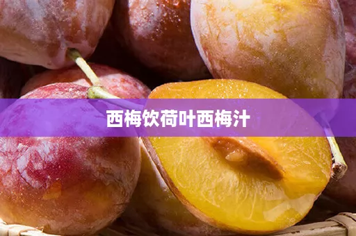 西梅饮荷叶西梅汁