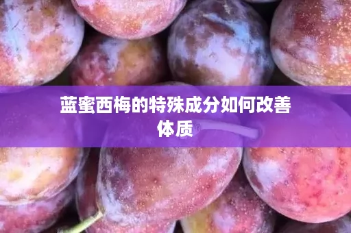 蓝蜜西梅的特殊成分如何改善体质