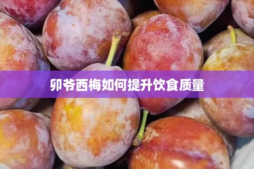 卯爷西梅如何提升饮食质量