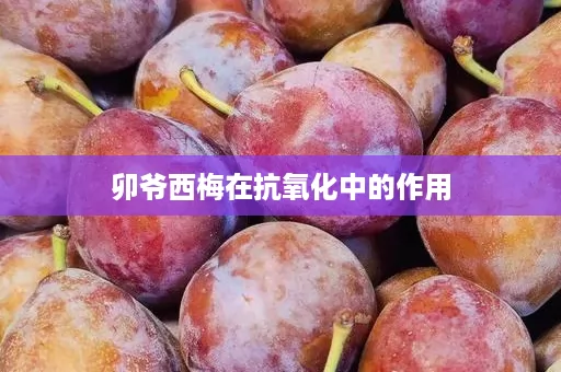 卯爷西梅在抗氧化中的作用