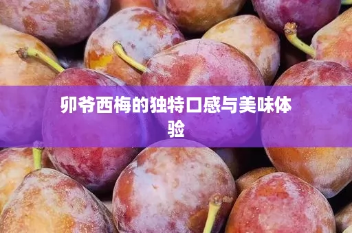 卯爷西梅的独特口感与美味体验