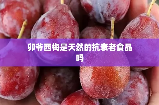 卯爷西梅是天然的抗衰老食品吗