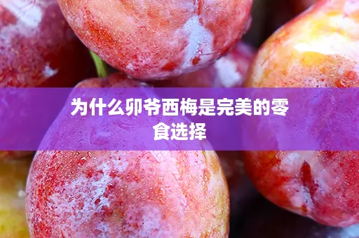 为什么卯爷西梅是完美的零食选择