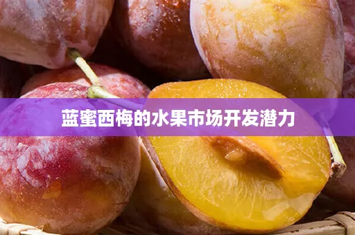 蓝蜜西梅的水果市场开发潜力
