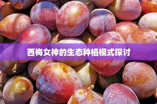 西梅女神的生态种植模式探讨