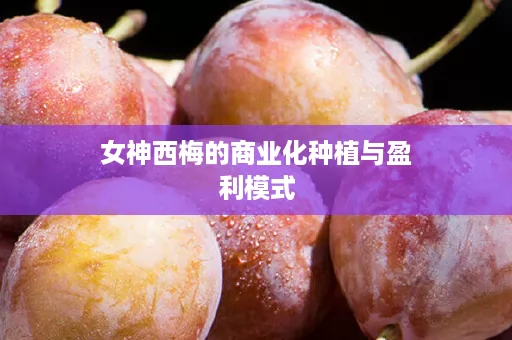 女神西梅的商业化种植与盈利模式