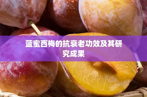 蓝蜜西梅的抗衰老功效及其研究成果